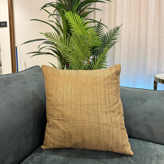 Riyaze Silk Cushion